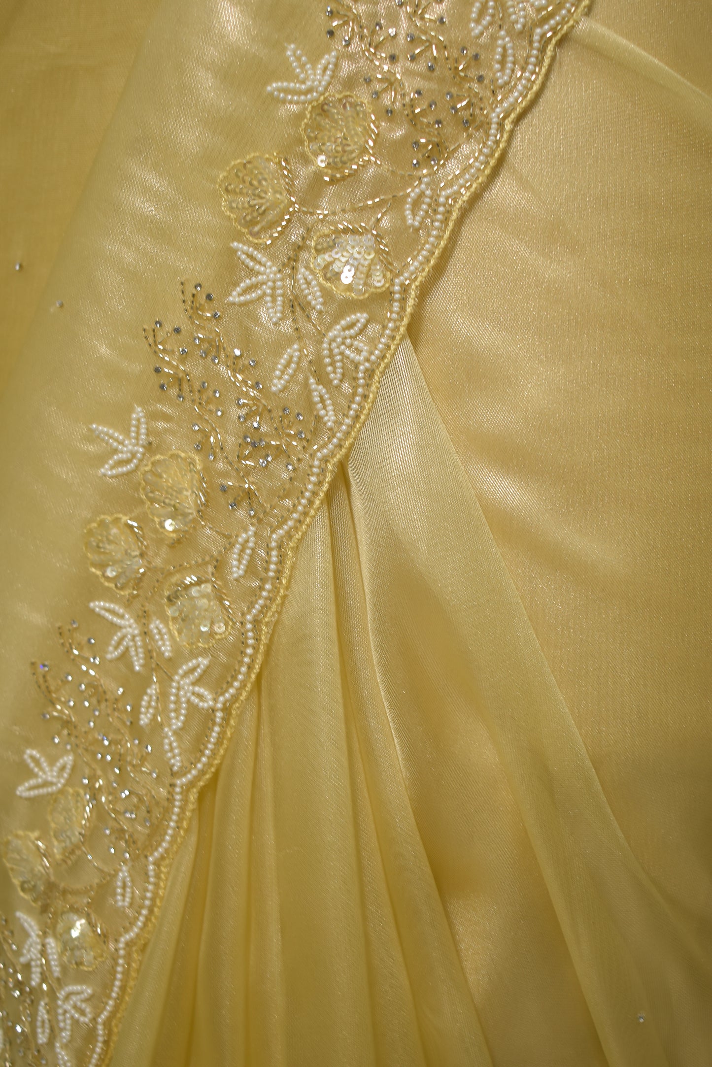 Madhvi - Ivory Tissue Organza Hand Work Saree