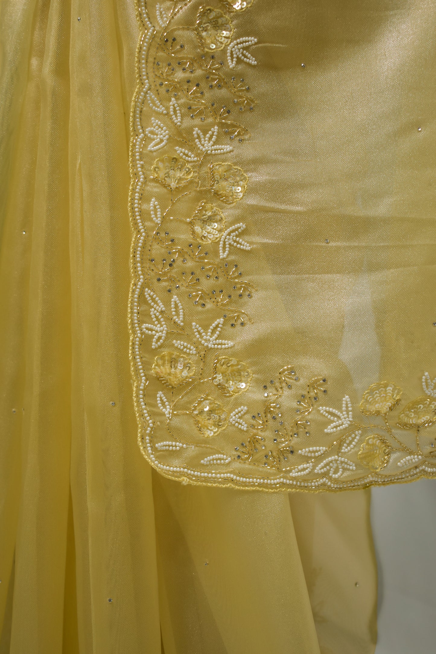 Madhvi - Ivory Tissue Organza Hand Work Saree