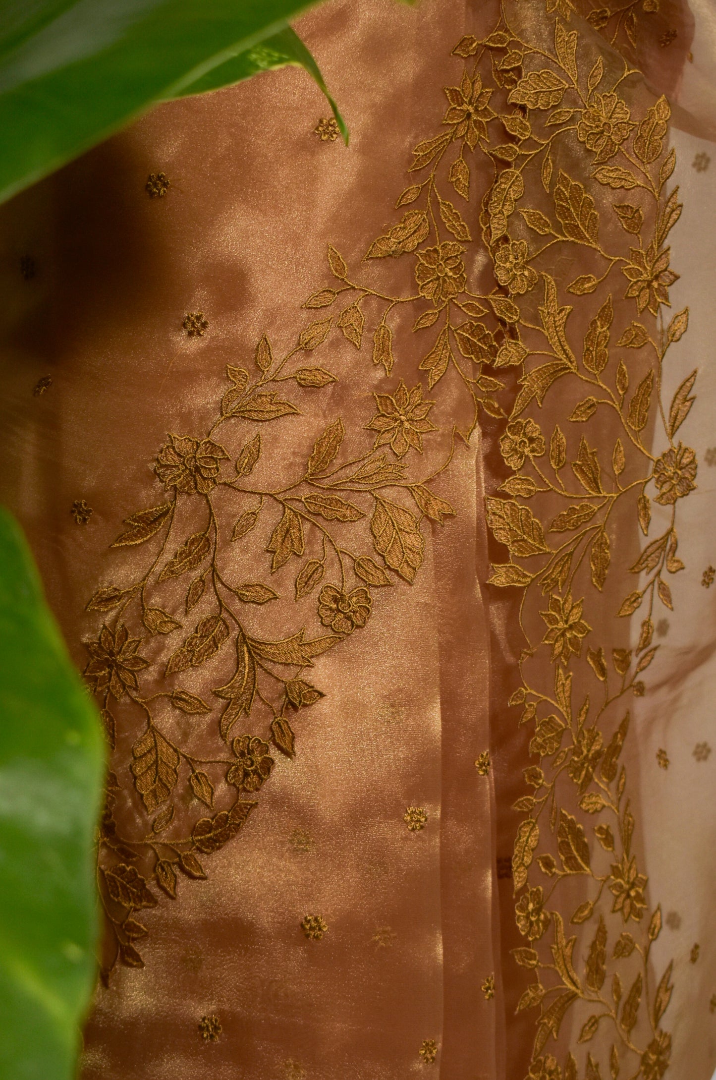 Golden Organza Saree with Scallop Border